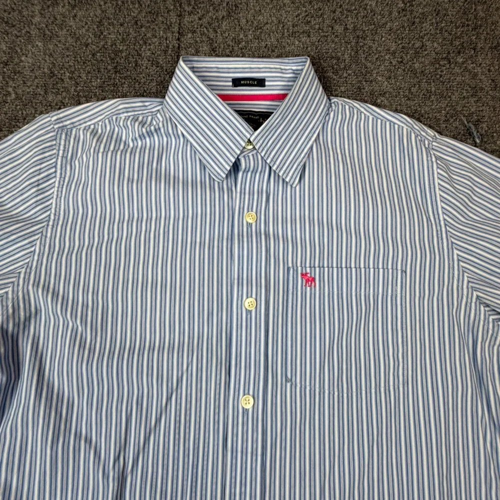 VTG Abercrombie & Fitch Men Large Muscle Fit Stripe Button Down Shirt Blue White
